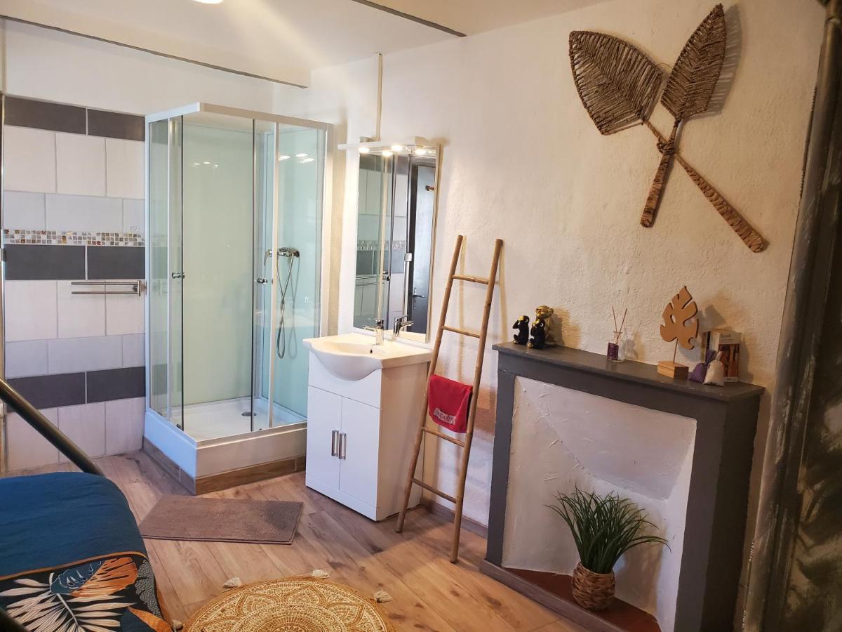 Le Phoenix 30 M2 - Lumineux Et Bien Agence *